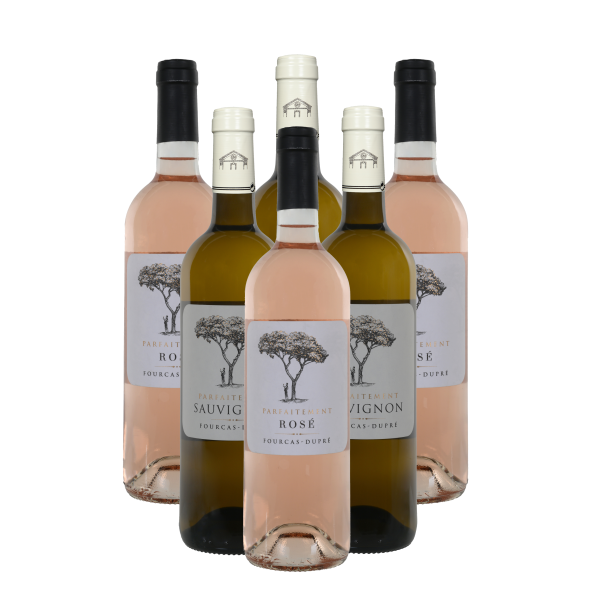Carton Parfaitement Sauvignon & Rosé